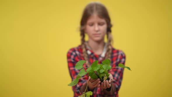 Rack Focus From Green Wet Plant in Female Adolescent Hands to Concentrated Caucasian Teenage Girl at alt