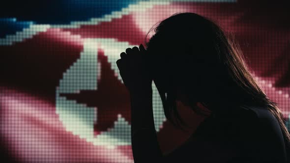 Female Grieving. North Korean Flag Background