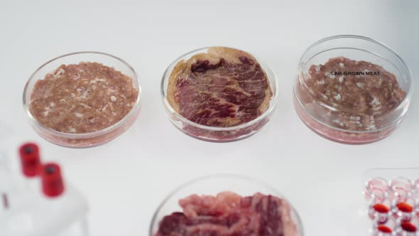 Petri Dishes With Cultured Meat Samples alt