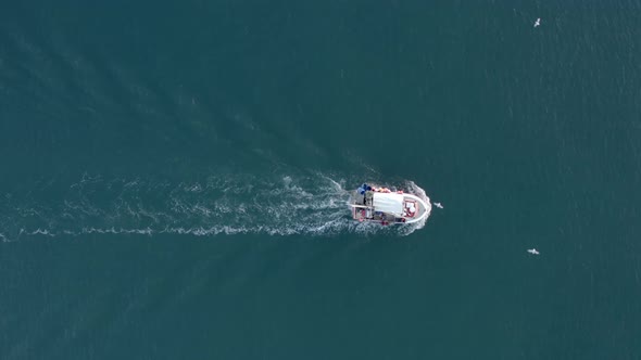 Fishing Vessel Flocked by Seagulls at Sea Bird's Eye View alt
