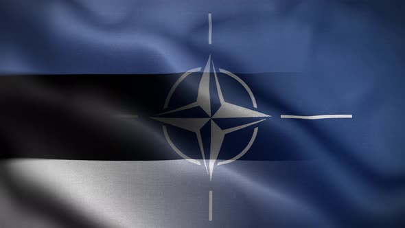 Nato Estonia Flag Loop Background 4K