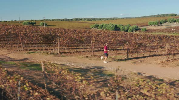 Aerial Footage of a Caucasian Man Running Along Huge Vine Plantation alt