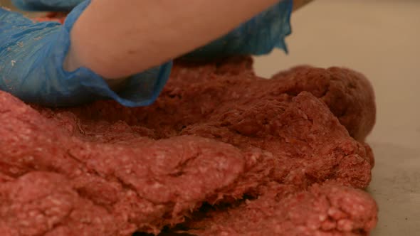 Close up of raw beef mince prep for handmade burgers with hygiene safe food gloves alt