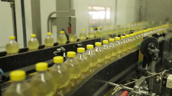 Soybean oil production and packaging process for human consumption. Industrial production in Brazil. alt