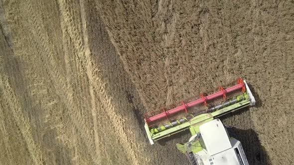 Close Vertical Aerial View Modern Harvester Gathers Wheat alt