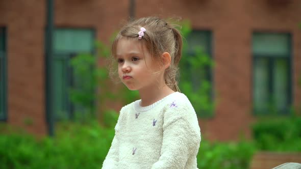 Close Up of Happy Little Girl Swing on Swing on Playground Outdoors in Green Summer Park alt