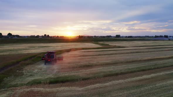 Wheat Fields