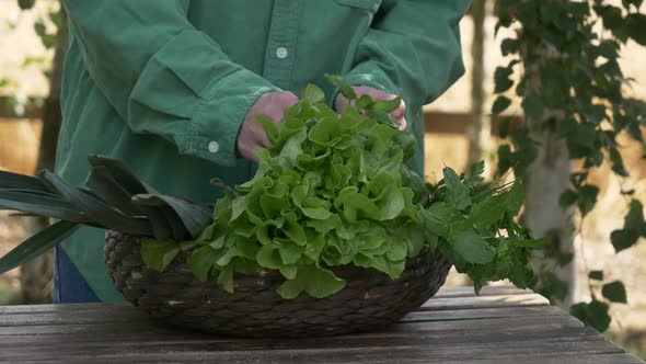 Stylish woman in green shirt sort vegetables in basket on wooden table in outdoor alt