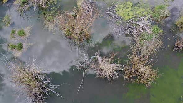 Clouds reflecting in beaver pond while flying over the water alt