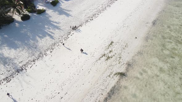 Zanzibar Tanzania  People Play Football on the Beach Slow Motion alt