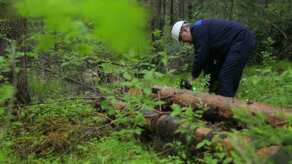 Man with chainsaw working in forest