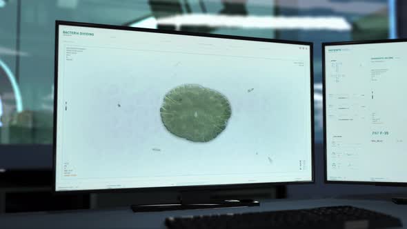 Analysis Of A Bacteria Dividing Process Via High Tech Microscope Program alt