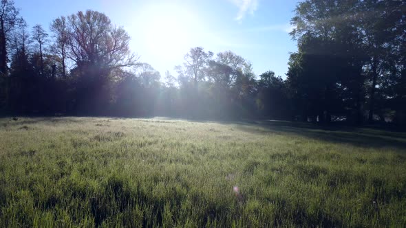 Aerial Drone View Flight Over Dirt Path in Park in Early Morning alt