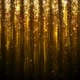 Abstract Gold Particle Confetti and Glitter Rain  - VideoHive Item for Sale