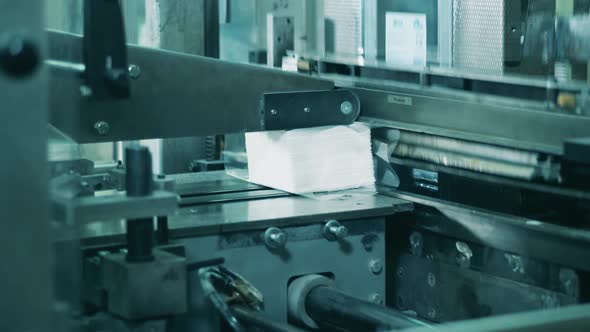 Functioning Paper Tissue Cutting Machine at a Factory alt