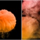 Orange Smoke Explosion 4K - VideoHive Item for Sale