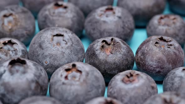 Natural Organic Food alt