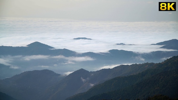 Forests Above the Clouds and Sea of Clouds alt