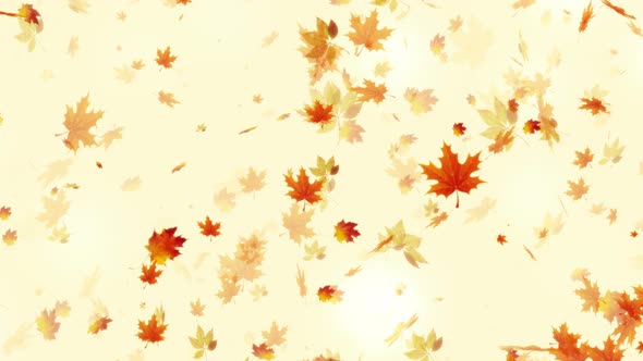 Autumn Leaves Seasonal Ultra HD Background
