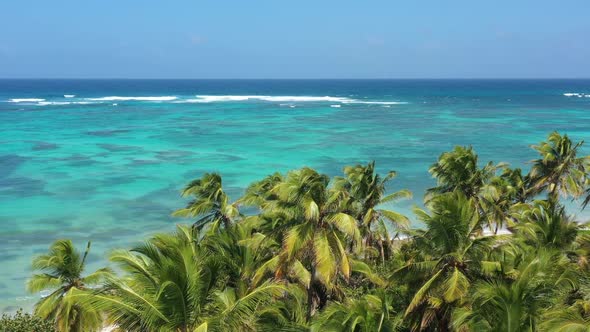 Wild Tropical Coast with Coconut Palm Trees and Turquoise Caribbean Sea alt
