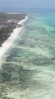 Tanzania  Vertical Video of the Ocean Near the Coast of Zanzibar Slow Motion alt