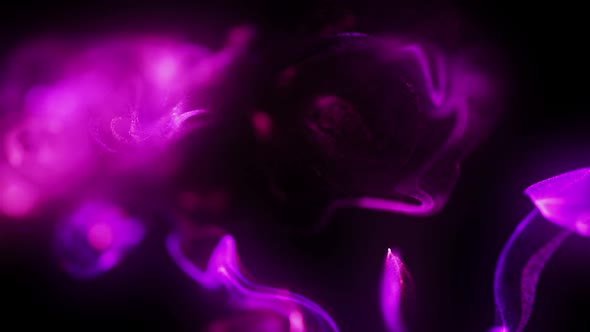 Loop Purple Flow Motion Fluid Particles Full HD