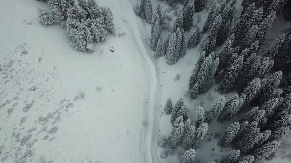 A group of people walking on a snow trail in the forest, Mountainous area alt