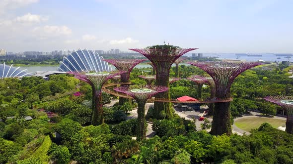 Aerial View of Supertree Grove at Gardens by the Bay in Singapore