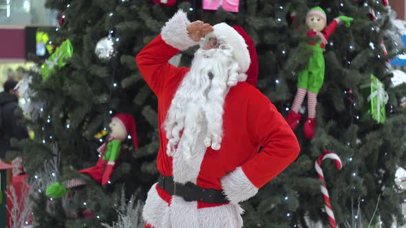 Santa Claus Is Standing on the Shopping Mall Near the Christmas Tree alt
