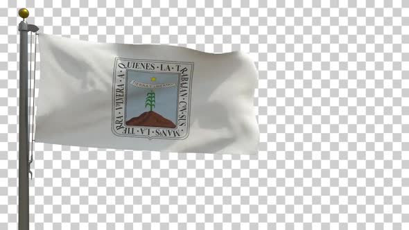 Morelos Flag (Mexico) on Flagpole with Alpha Channel - 4K alt