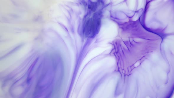 Ink in Water, Violet Ink Reacting in Water Creating Abstract Background