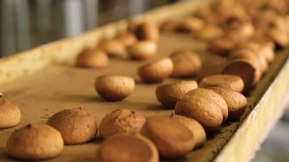 Fresh Biscuits Made in the Factory alt