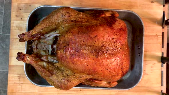 Large delicious looking roast turkey sitting in a pan on a cutting block. Camera moving in for a clo alt