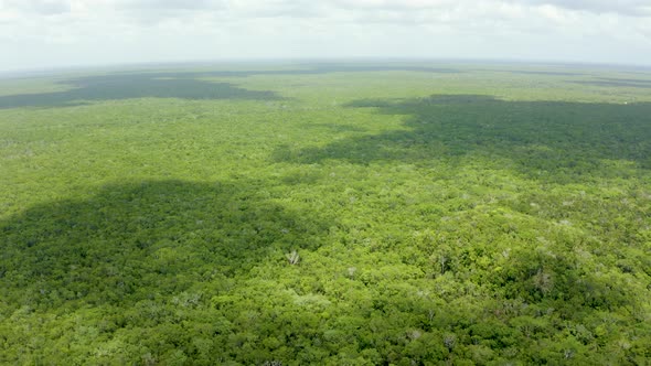 Aerial View of the Mexican Jungle From Above alt
