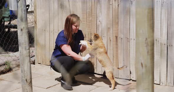 Dog in a shelter with volunteer alt