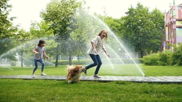 Girls Playing With The Dog At The Park alt