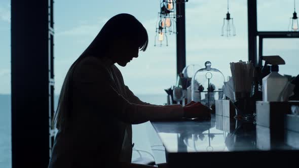 Upset Woman Silhouette Sitting Bartender Alone Closeup alt