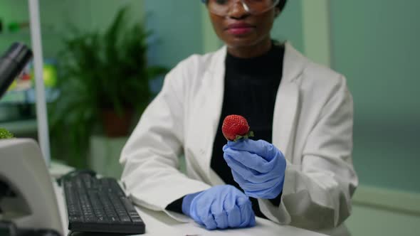 African Chemist with Medical Glasses Looking at Strawberry Injected with Chemical Pesticides alt