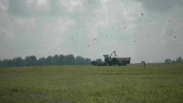Combine Harvester In Field alt
