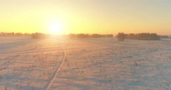 Aerial Drone View of Cold Winter Landscape with Arctic Field Trees Covered with Frost Snow and alt