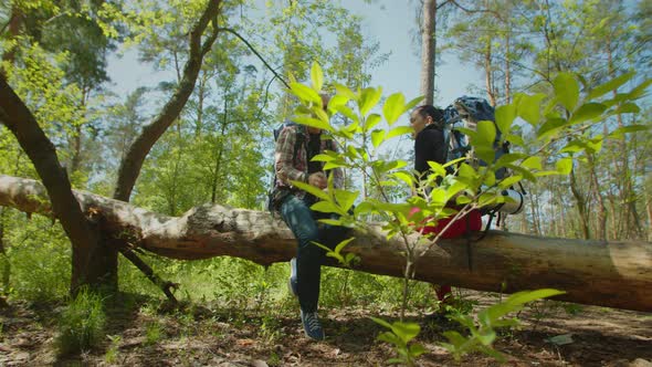 Backpackers Taking a Break During Hike Sitting on Tree Trunk in Nature alt
