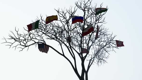 Country Flags Hanging on Tree