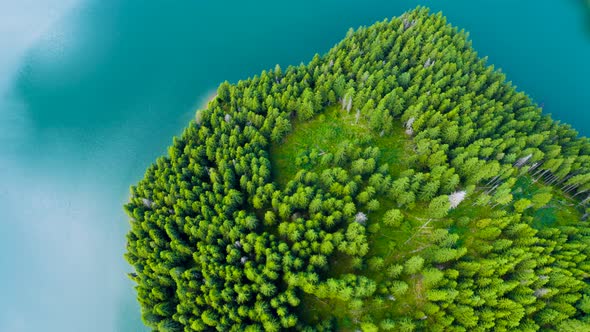 Aerial view of a mountain forest lake. Forest and lake border. Coastline view from the drone. alt