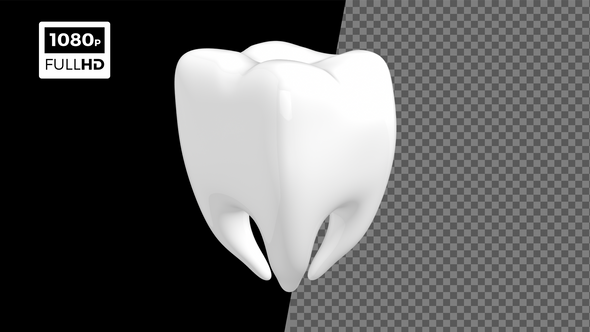 Tooth Rotate V1