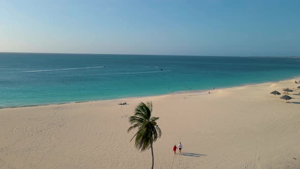Palm Beach Aruba Caribbean White Long Sandy Beach with Palm Trees at Aruba Man and Woman Relaxing on alt