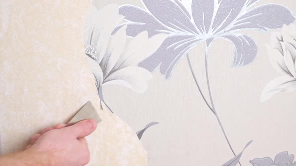 Removing Old Wallpaper with a Spatula and a Sprayer with Water