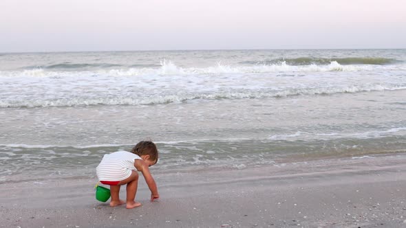 Kid Collects Shells and Pebbles in the Sea on a Sandy Bottom Under the Summer Sun on a Vacation alt