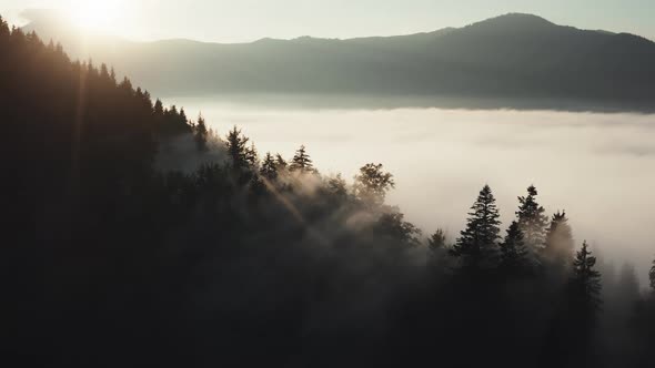 Fog Landscape in Morning Mountains