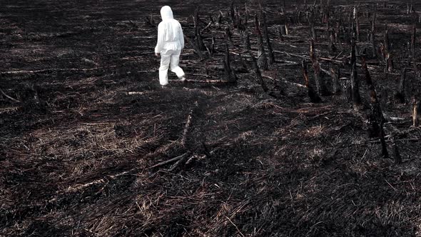 Earth after a fire alt