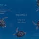 Sea Turtle 4 - VideoHive Item for Sale